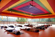 yoga-schools/rishikul-yogshala/rishikul-yogshala-02.jpg
